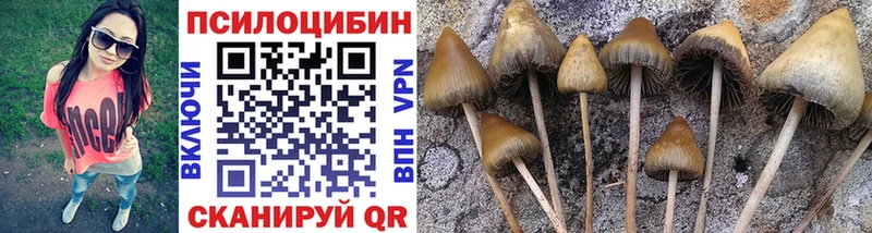 Псилоцибиновые грибы Psilocybe цены наркотик Рубцовск