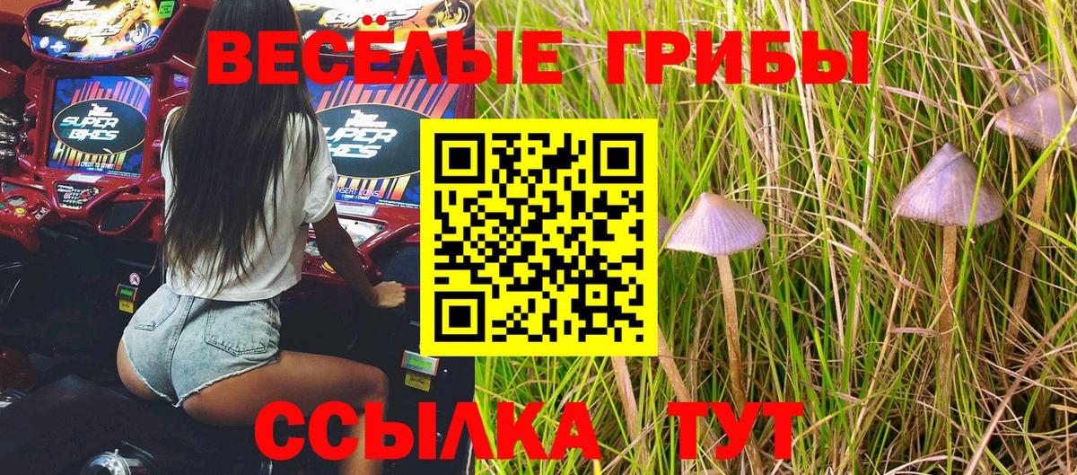 Рубцовск  Галлюциногенные грибы Magic Shrooms  Псилоцибиновые грибы мицелий  Вход с VPN 