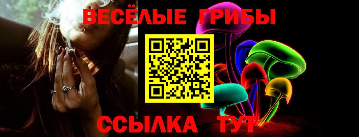 Галлюциногенные грибы мухоморы Рубцовск